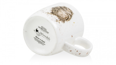 RWC MMKD5629-XT-1 Кружка Royal Worcester Забавная фауна, Сова 310мл